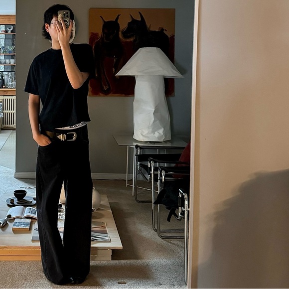 Meet your Posher, Leo - Picture 1 of 1